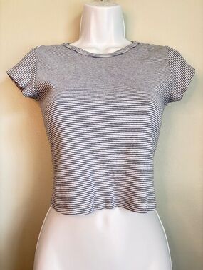 Brandy Melville Ashlyn Baby Tee Gray & White Striped Model-off-Duty Soft Girl